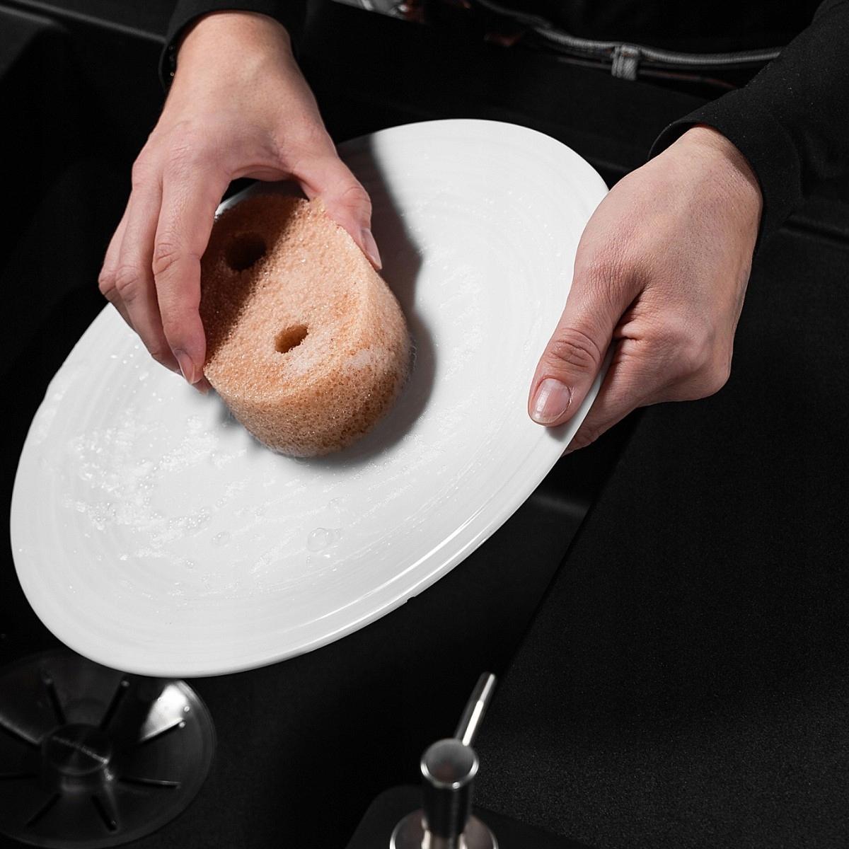 ERLA YODO MAGICZNA GĄBKA CZYSZCZĄCA DO RÓŻNYCH POWIERZCHNI R1003 - obrazek 10