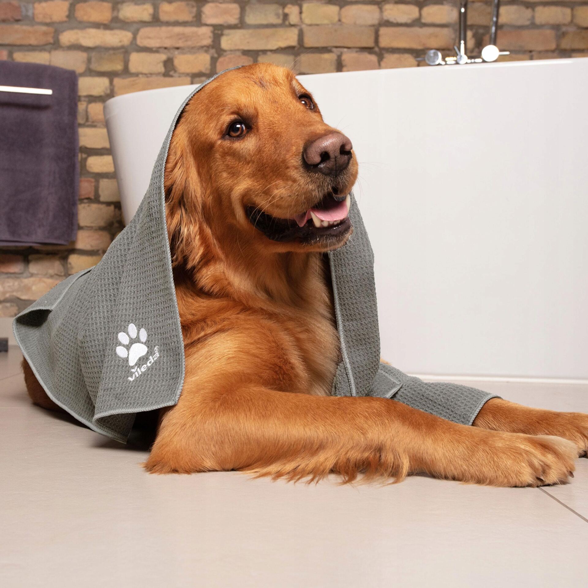 Ręcznik z mikrofibry dla zwierząt Vileda Pet Pro M - obrazek 8