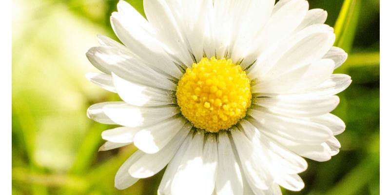 NIVEA MEN Żel do golenia 3-dniowego zarostu 200 ml - obrazek 7