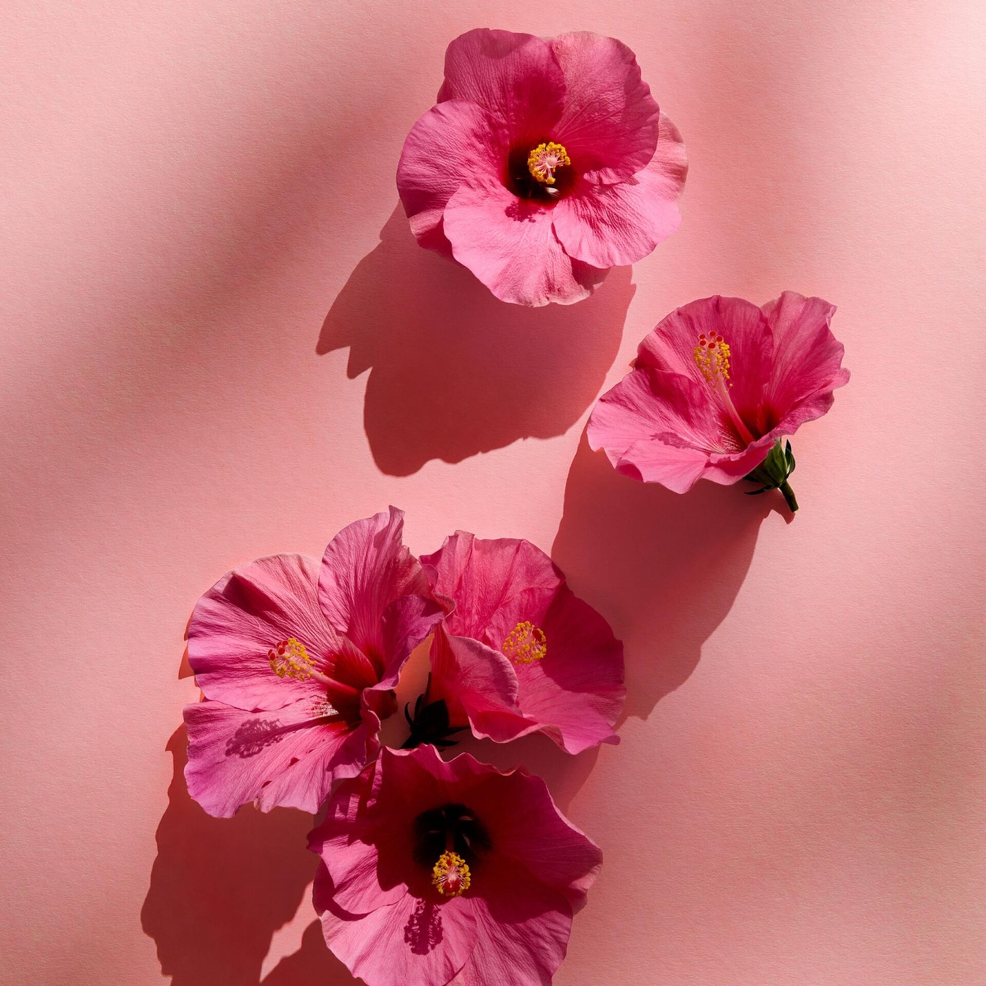 NIVEA FRESH FLOWER 0% SOLI ALUMINUM DEZODORANT W SPRAYu 150 ML - obrazek 13