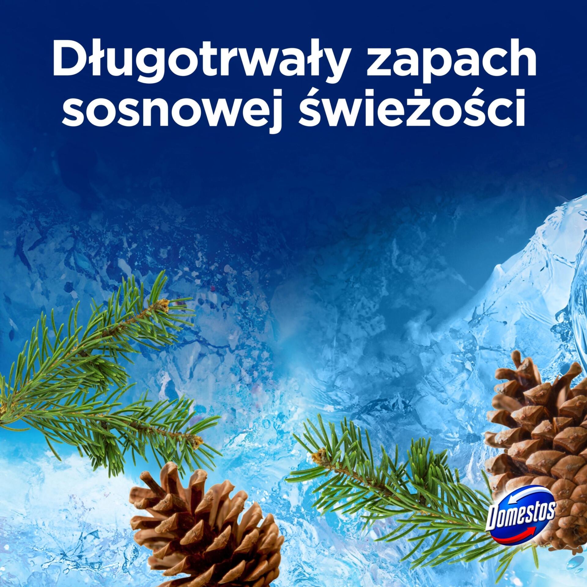 Zawieszka Domestos Power 5 kostka do WC Pełna Moc aż 1200 użyć Pine 4x50g - obrazek 8