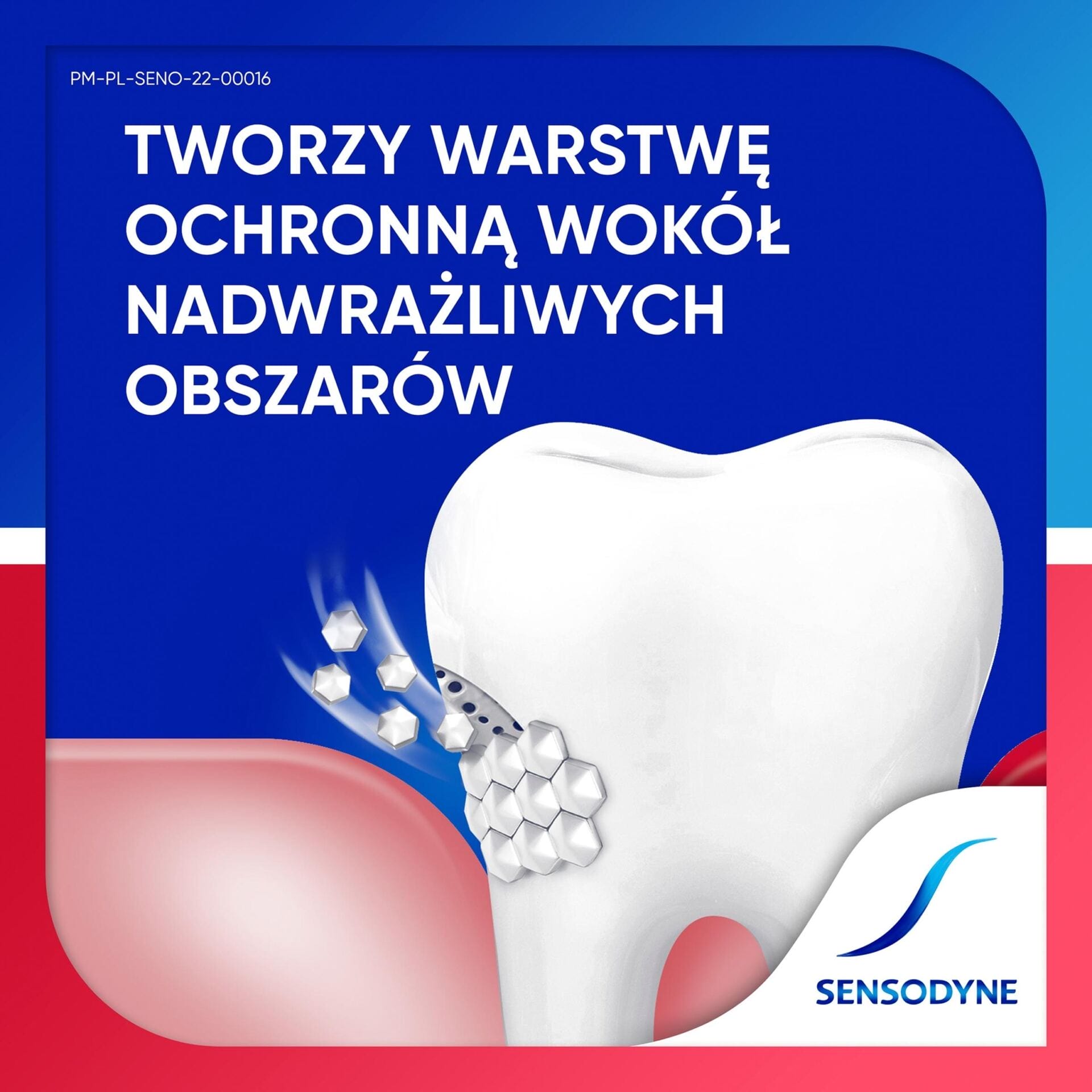 Sensodyne Pasta do zębów nadwrażliwych Nadwrażliwość & Dziąsła 75ml - obrazek 5