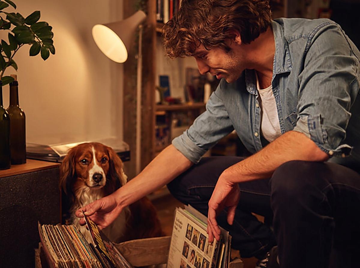 Osram żarówka LED E27 A60 13W=100W 1521lm 2700K - obrazek 6