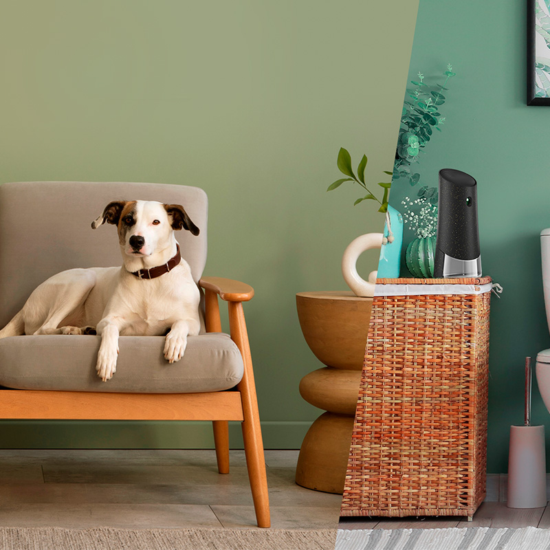 Air Wick Active Fresh refill Drzewo Sandałowe & Mech Dębowy 228 ml x4 - obrazek 8