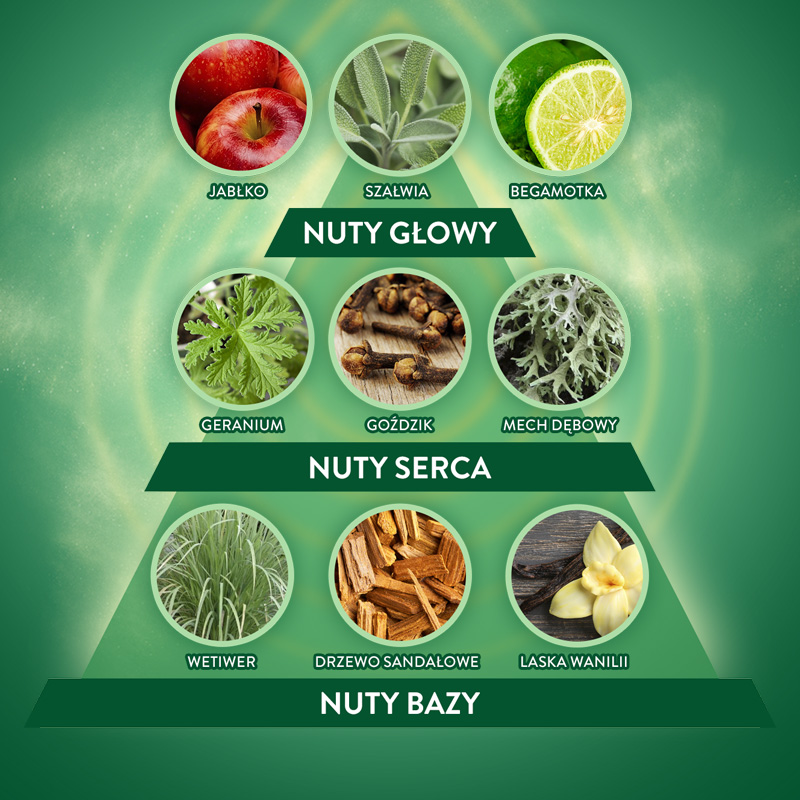 Air Wick Active Fresh refill Drzewo Sandałowe & Mech Dębowy 228 ml x6 - obrazek 5