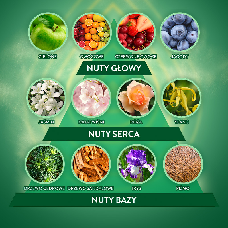 Air Wick Active Fresh Odświeżacz Wkład MIX 228ml x3 - obrazek 4