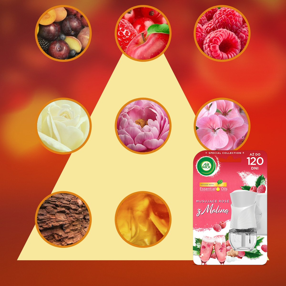 Air Wick Elektryczny Odświeżacz Powietrza Musujące Rose z Maliną 19 ml - obrazek 6