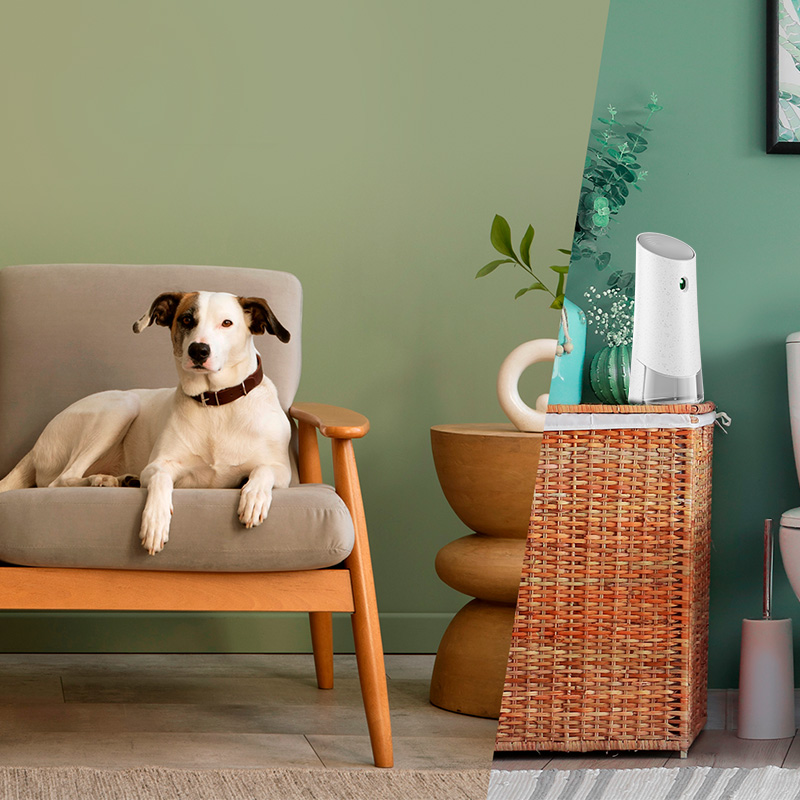 Air Wick Active Fresh Odświeżacz Wkład MIX 228ml x3 - obrazek 10