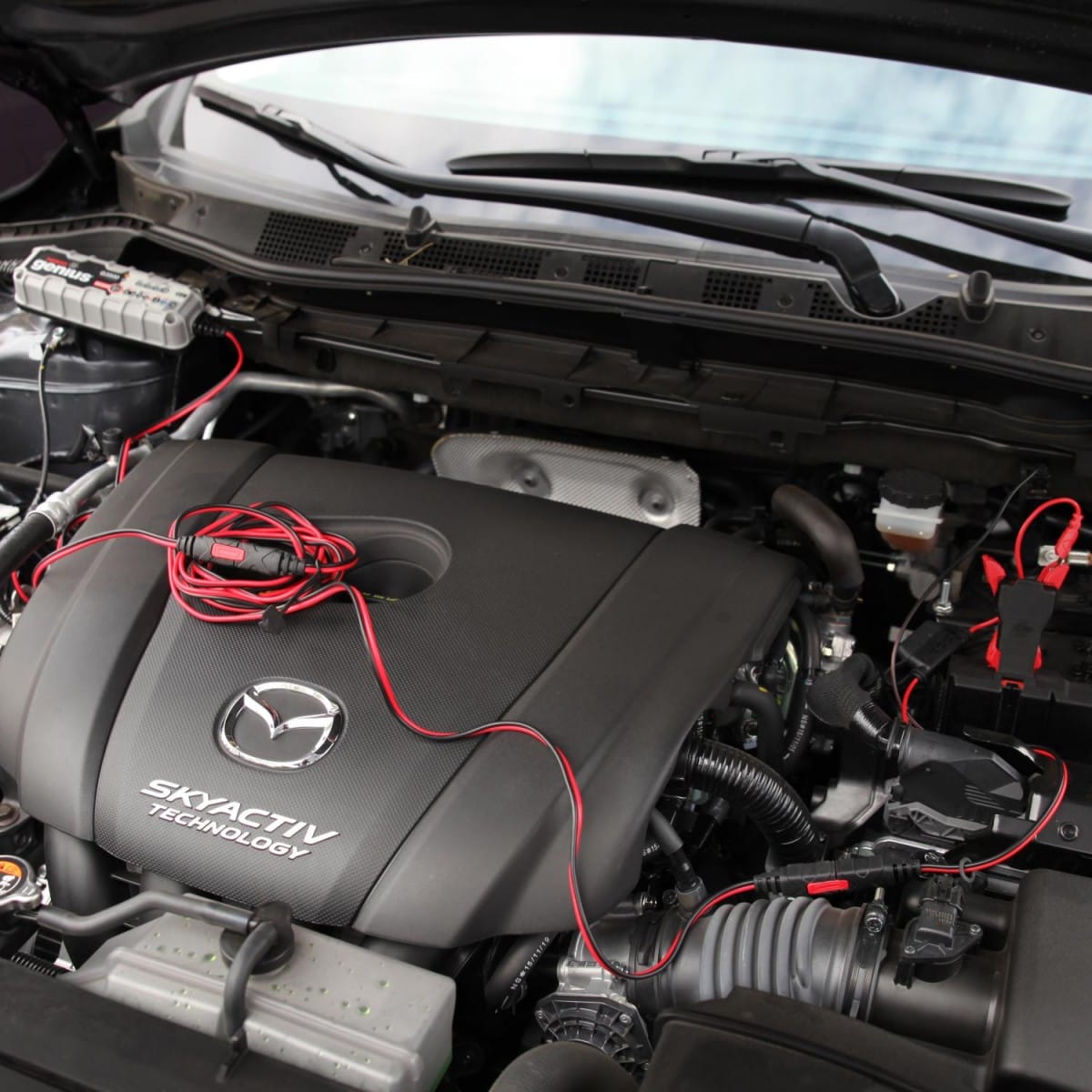 GC004 NOCO PRZEDŁUŻACZ ZŁĄCZKA ŁADOWARKI 3 METRY - obrazek 4